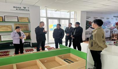 專家技術(shù)指導(dǎo)守護種業(yè)安全 技術(shù)推廣服務(wù)